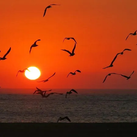 Serenabeach Daire *