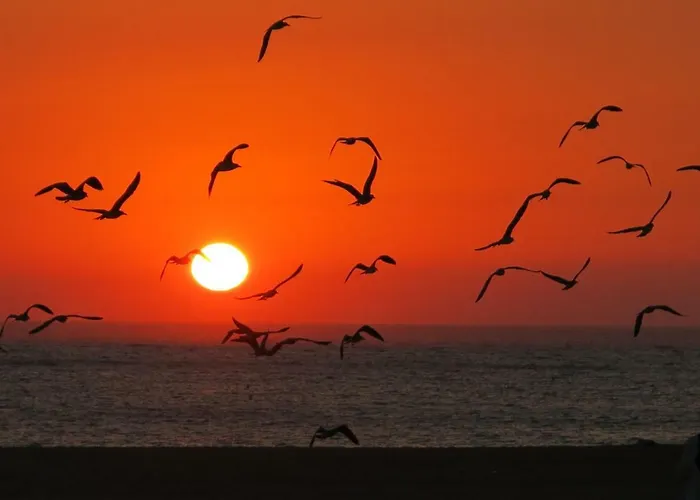 Serenabeach 公寓 *